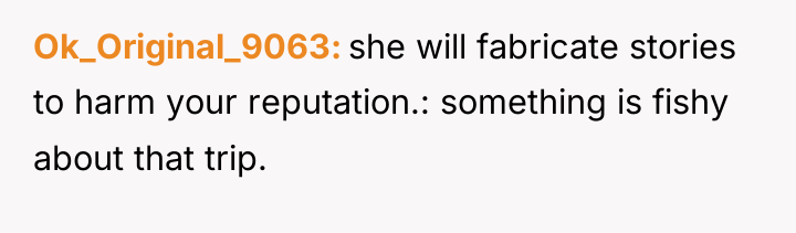 Ok_Original_9063 she will fabricate stories to harm your reputation.: something...