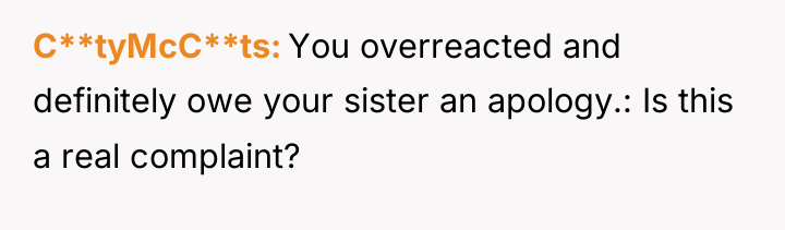 C**tyMcC**ts You overreacted and definitely owe your sister an apology.:...