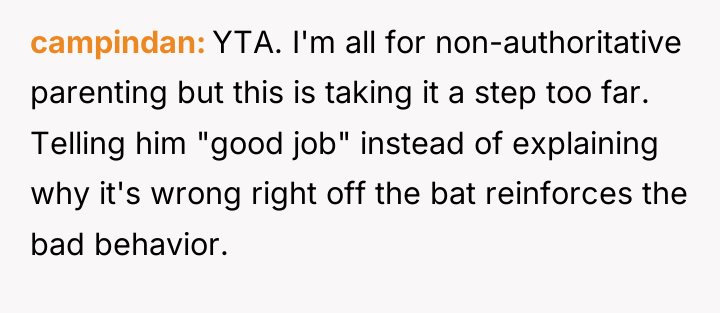 campindan YTA. I'm all for non-authoritative parenting but this is...
