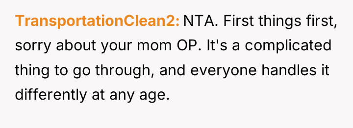 TransportationClean2 NTA. First things first, sorry about your mom OP....