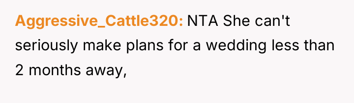 Aggressive_Cattle320 NTA She can't seriously make plans for a wedding...