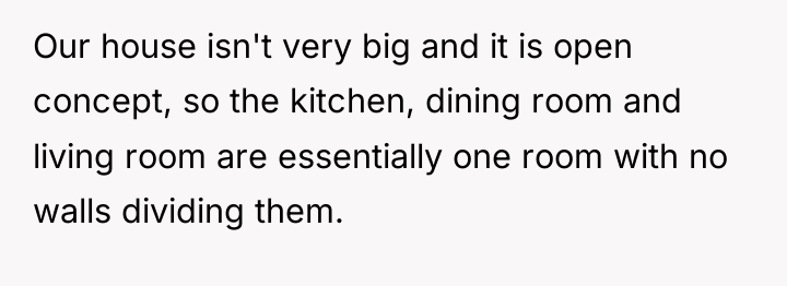 Our house isn't very big and it is open concept,...
