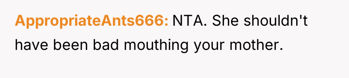 AppropriateAnts666 NTA. She shouldn't have been bad mouthing your mother.