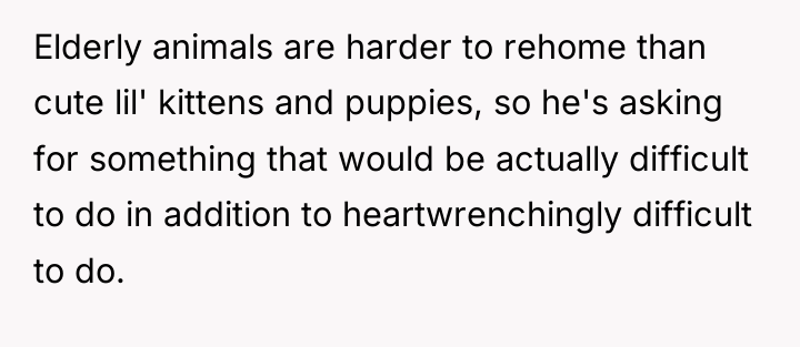 Elderly animals are harder to rehome than cute lil' kittens...