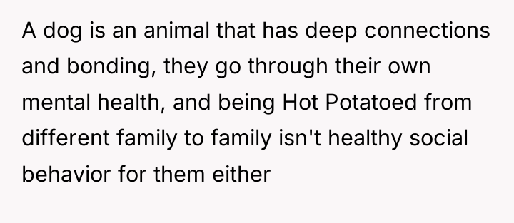 A dog is an animal that has deep connections and...