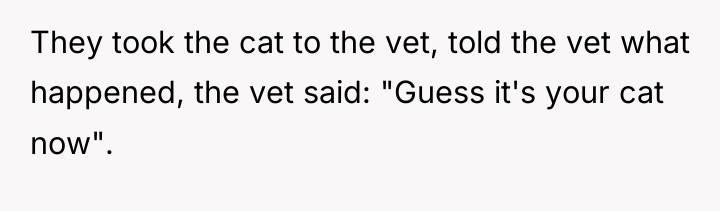 They took the cat to the vet, told the vet...