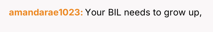 amandarae1023 Your BIL needs to grow up,