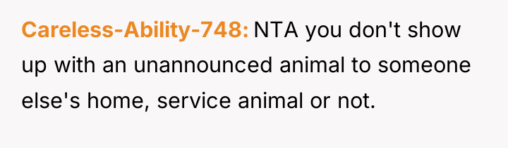 Careless-Ability-748 NTA you don't show up with an unannounced animal...