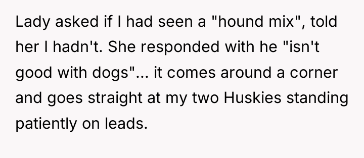 Lady asked if I had seen a "hound mix", told...