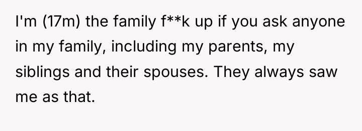 I'm (17m) the family f**k up if you ask anyone...