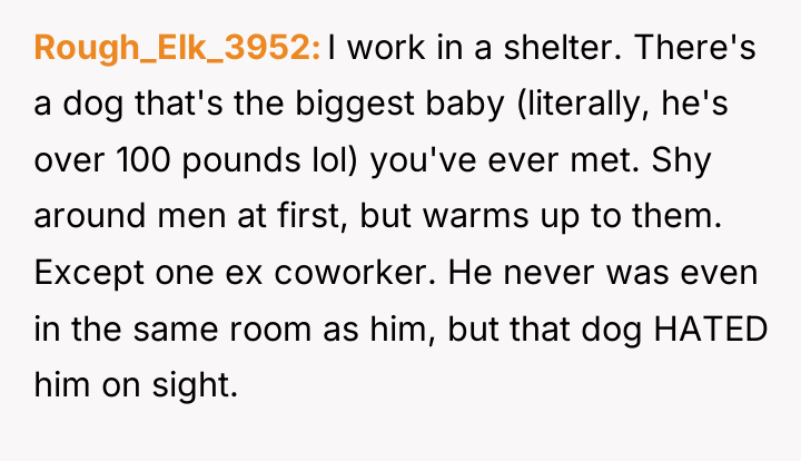 Rough_Elk_3952 I work in a shelter. There's a dog that's...