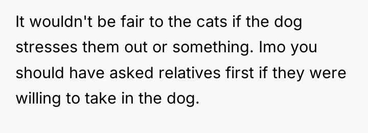 It wouldn't be fair to the cats if the dog...