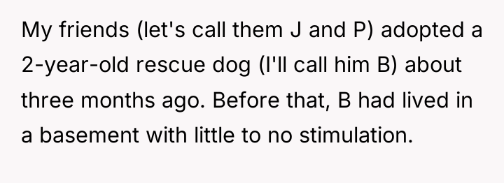 My friends (let's call them J and P) adopted a...