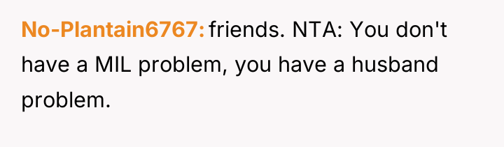 No-Plantain6767 friends. NTA: You don't have a MIL problem, you...