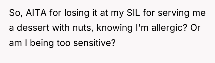 So, AITA for losing it at my SIL for serving...
