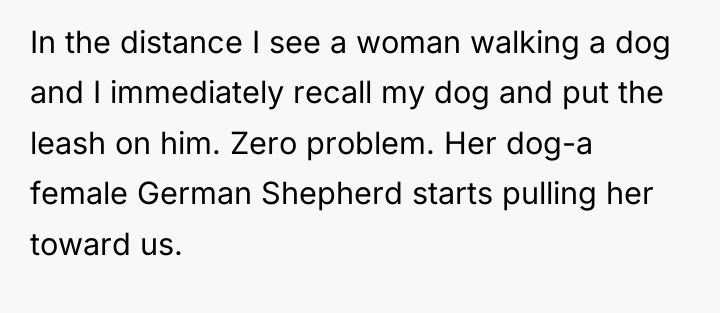 In the distance I see a woman walking a dog...