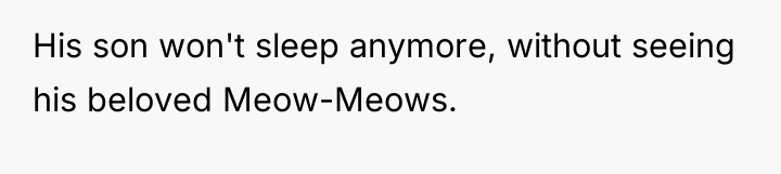 His son won't sleep anymore, without seeing his beloved Meow-Meows.