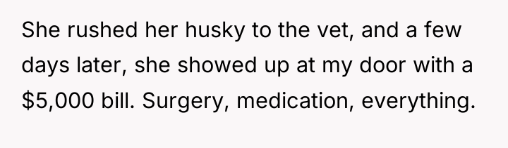 She rushed her husky to the vet, and a few...