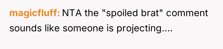 magicfluff NTA the "spoiled brat" comment sounds like someone is...