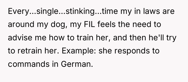 Every...single...stinking...time my in laws are around my dog, my FIL...