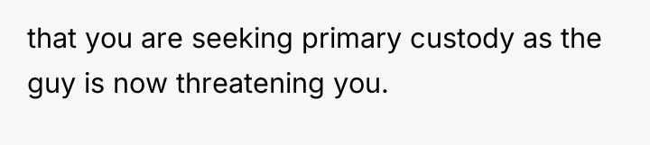 that you are seeking primary custody as the guy is...