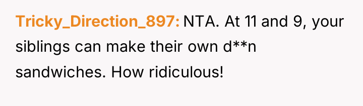 Tricky_Direction_897 NTA. At 11 and 9, your siblings can make...