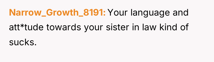 Narrow_Growth_8191 Your language and att*tude towards your sister in law...