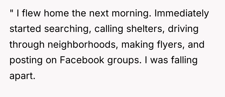 " I flew home the next morning. Immediately started searching,...