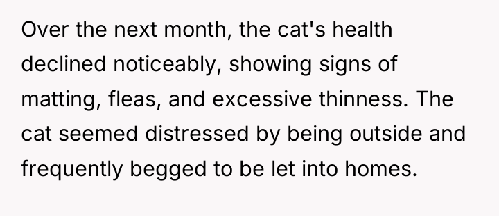 Over the next month, the cat's health declined noticeably, showing...