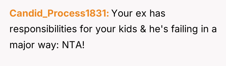 Candid_Process1831 Your ex has responsibilities for your kids & he's...