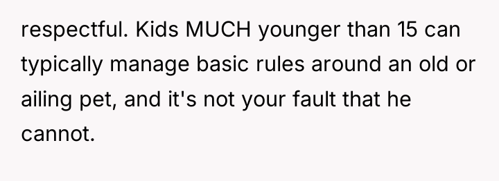 respectful. Kids MUCH younger than 15 can typically manage basic...