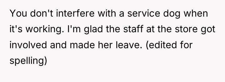You don't interfere with a service dog when it's working....