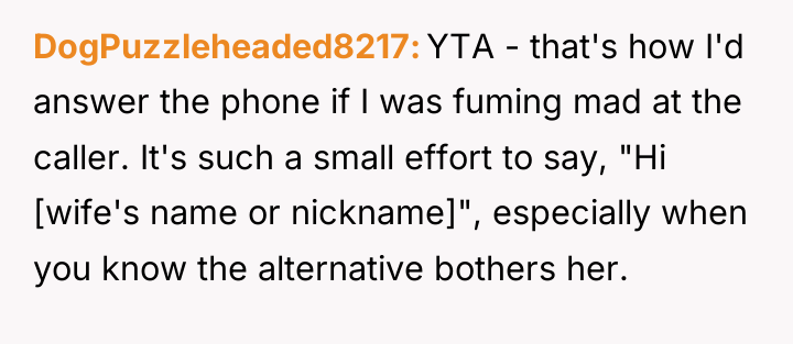DogPuzzleheaded8217 YTA - that's how I'd answer the phone if...