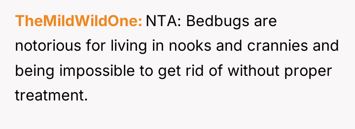 TheMildWildOne NTA: Bedbugs are notorious for living in nooks and...