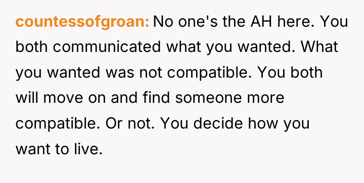 countessofgroan No one's the AH here. You both communicated what...