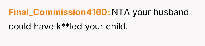Final_Commission4160 NTA your husband could have k**led your child.