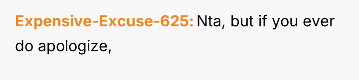 Expensive-Excuse-625 Nta, but if you ever do apologize,