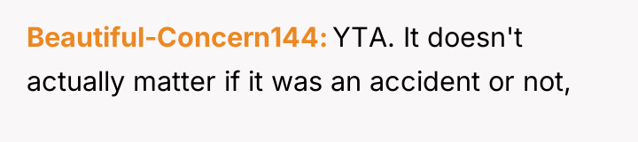 Beautiful-Concern144 YTA. It doesn't actually matter if it was an...