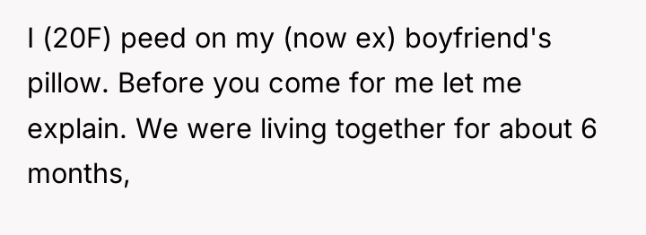 I (20F) peed on my (now ex) boyfriend's pillow. Before...