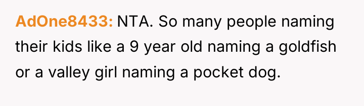 AdOne8433 NTA. So many people naming their kids like a...