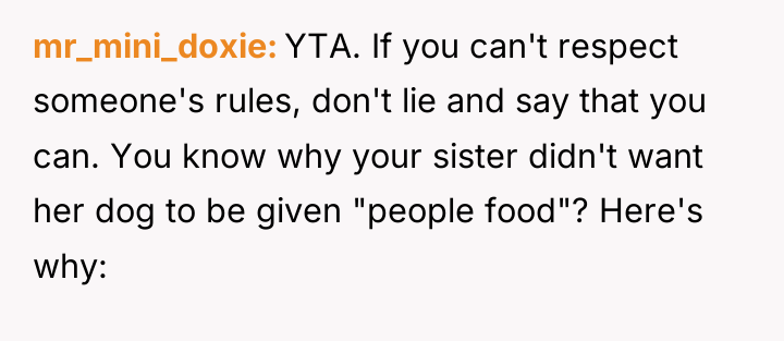 mr_mini_doxie YTA. If you can't respect someone's rules, don't lie...