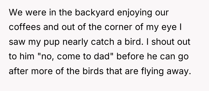 We were in the backyard enjoying our coffees and out...