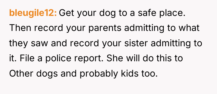 bleugile12 Get your dog to a safe place. Then record...