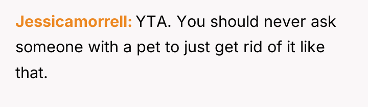 Jessicamorrell YTA. You should never ask someone with a pet...