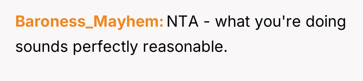 Baroness_Mayhem NTA - what you're doing sounds perfectly reasonable.