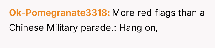 Ok-Pomegranate3318 More red flags than a Chinese Military parade.: Hang...