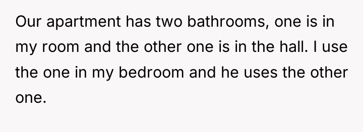 Our apartment has two bathrooms, one is in my room...