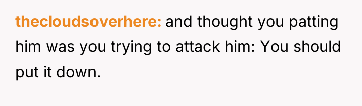thecloudsoverhere and thought you patting him was you trying to...