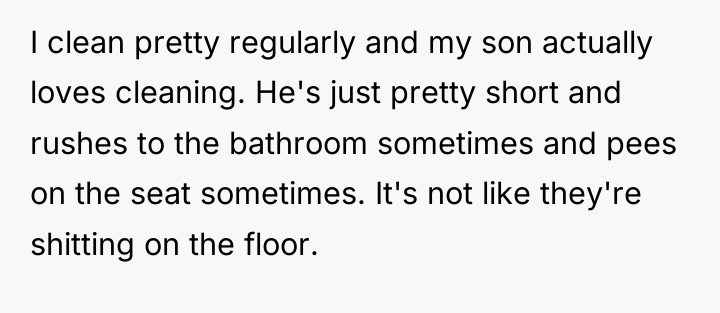 I clean pretty regularly and my son actually loves cleaning....