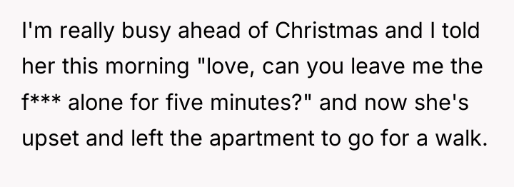 I'm really busy ahead of Christmas and I told her...